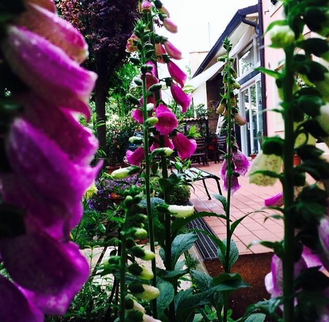 Bed And Breakfast Villa Franca Вилафранка ди Верона Екстериор снимка